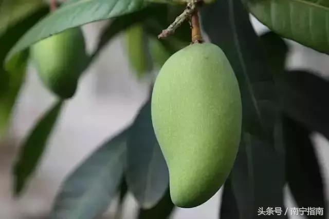 你好南宁纪录片,南宁师范大学介绍