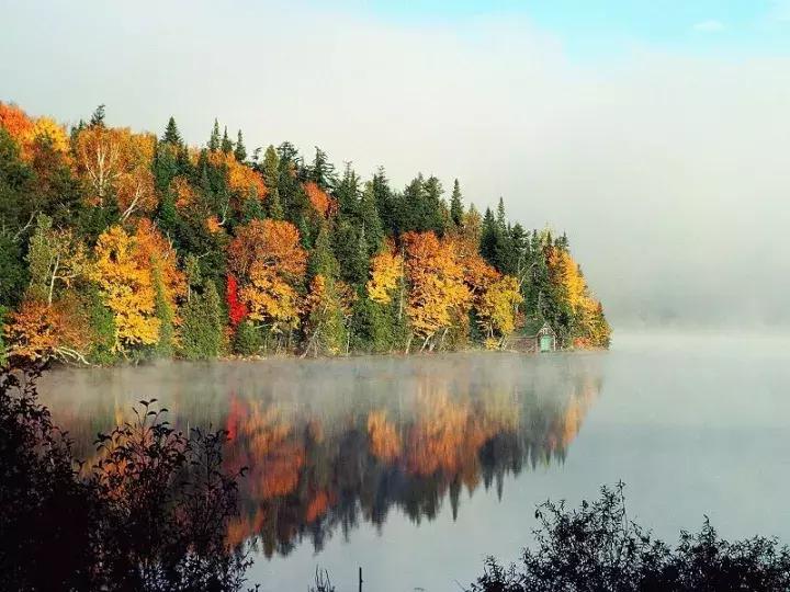 每逢佳节倍思亲又是一年九重阳,九九重阳每逢佳节倍思亲