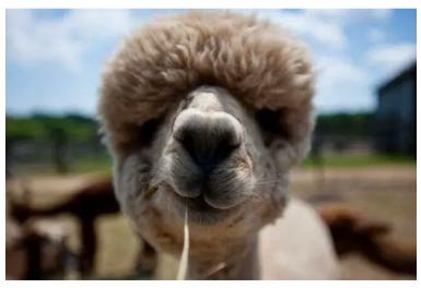 北京已有一套房再买一套行吗 (在北京买一套房在国外能买什么)