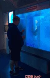 7岁儿童龅牙怎样矫正,龅牙怎么长出来的