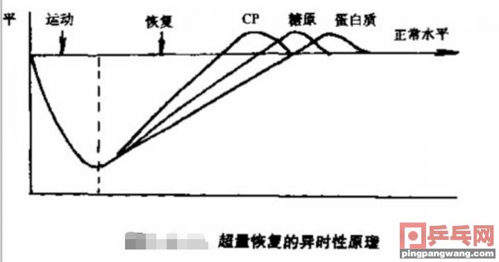 为什么打过乒乓球两腿酸疼,打乒乓肌肉酸痛与发力合理性