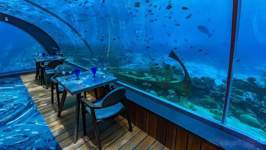 马尔代夫水下餐厅,马尔代夫水下餐厅最后四家免费