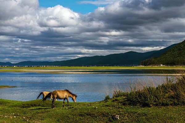 丽江真的能治愈身心的地方,丽江是一个治愈人的城市