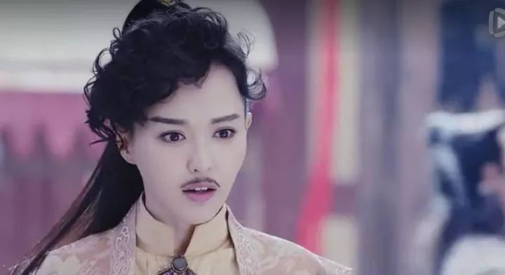 小八为什么走红,小八为什么总是怕人