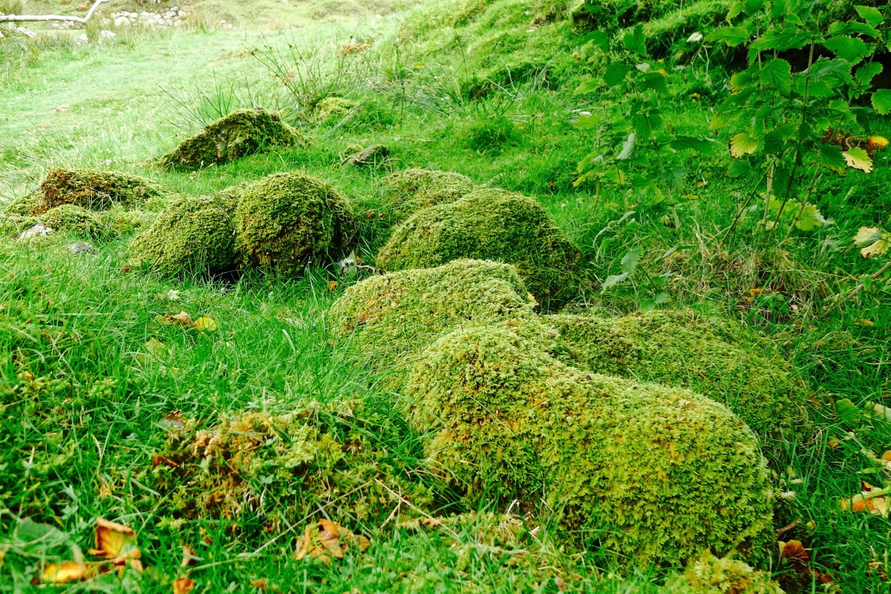 苏格兰高地天空岛,苏格兰高地和天空岛