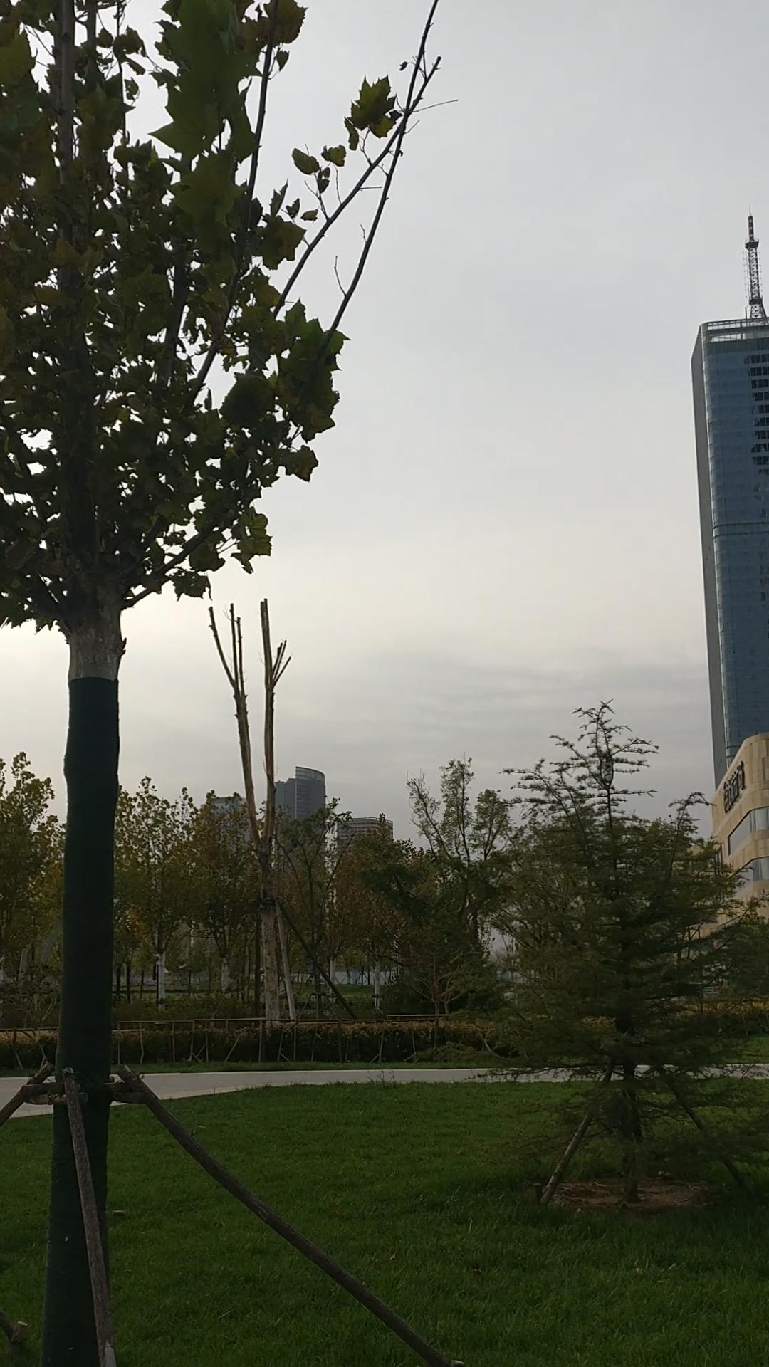 天津一日游从哪开始玩儿,天津滨海于家堡旅游