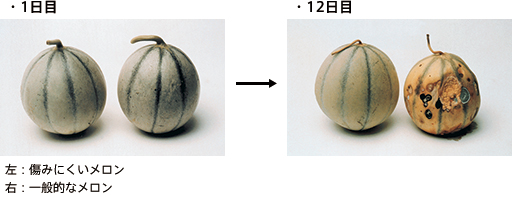 一白遮百丑美白那点事你真的懂吗,一白遮百丑的美白小妙招