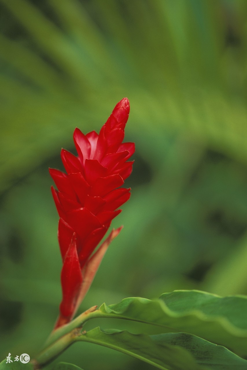 教你一招解决小孩尿床的方法,6-12岁儿童尿床妙招