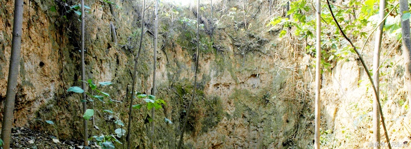 高源始祖,高姓氏的来源历史名人