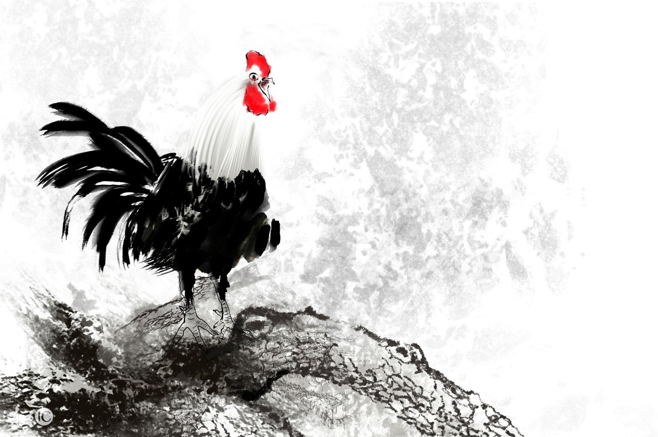 鸡病中医治疗方法,鸡病中医疗法