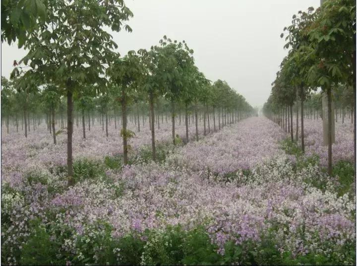 高邑处理结果的通报,高邑今年三奖一补还有吗