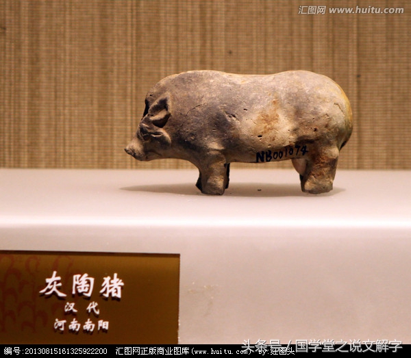 猪字的演变,猪字从甲骨文到现在的演变