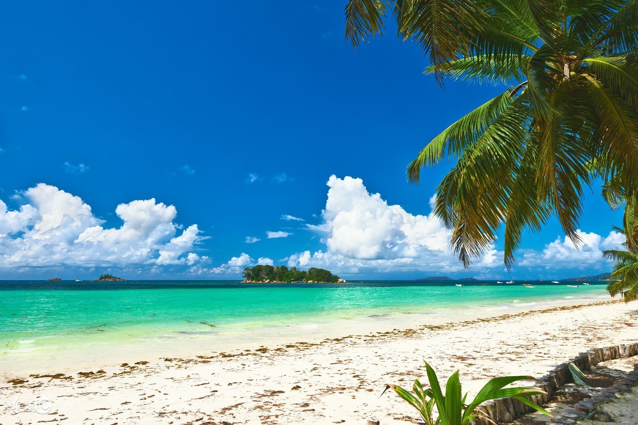 猴宝宝快乐成长,猴宝宝应该很开心吧