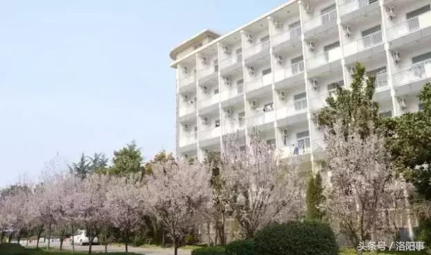 洛阳最有魅力的高中,洛阳市最牛逼的高等专科学校