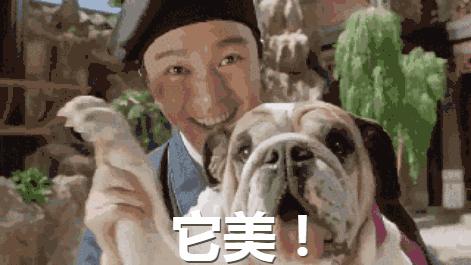 双宋cp高甜语录,双宋cp要结婚了吗