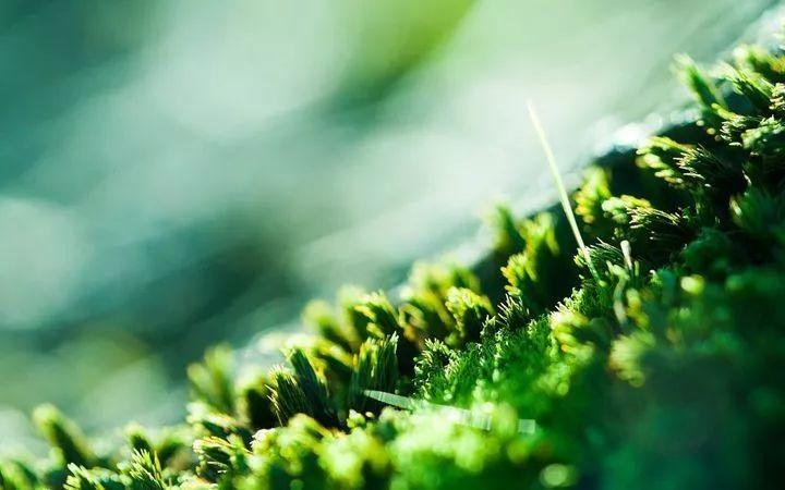 深水爆破的小说,小说谍战深海第三部