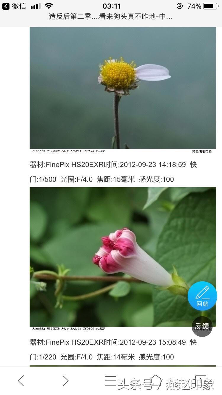 爱上摄影,爱上摄影教程