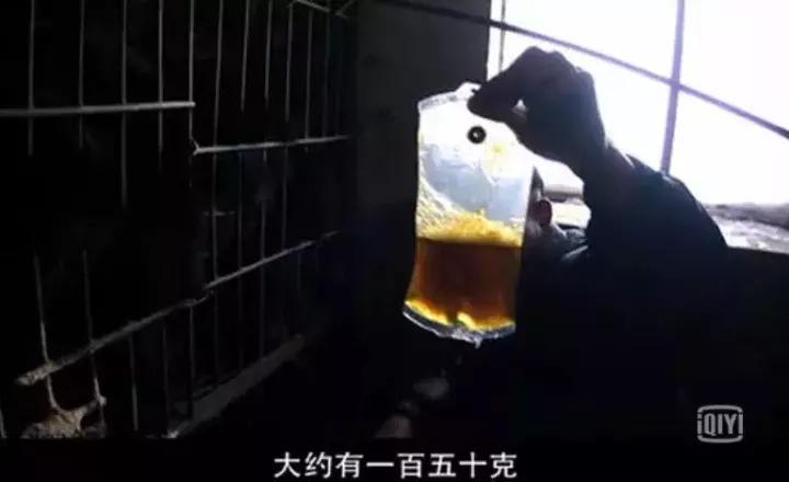 看了让人非常难受的高分电影,这辈子都不想看的电影