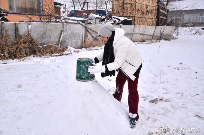 哈尔滨雾凇岛一日游,哈尔滨雪乡雾凇岛攻略