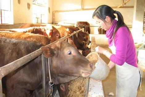 益生菌制剂的正确用法,益生菌制剂使用方法
