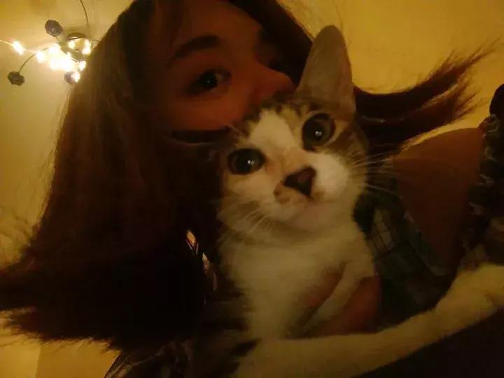 人类吸猫小史,人类吸猫的时候猫是怎么想的