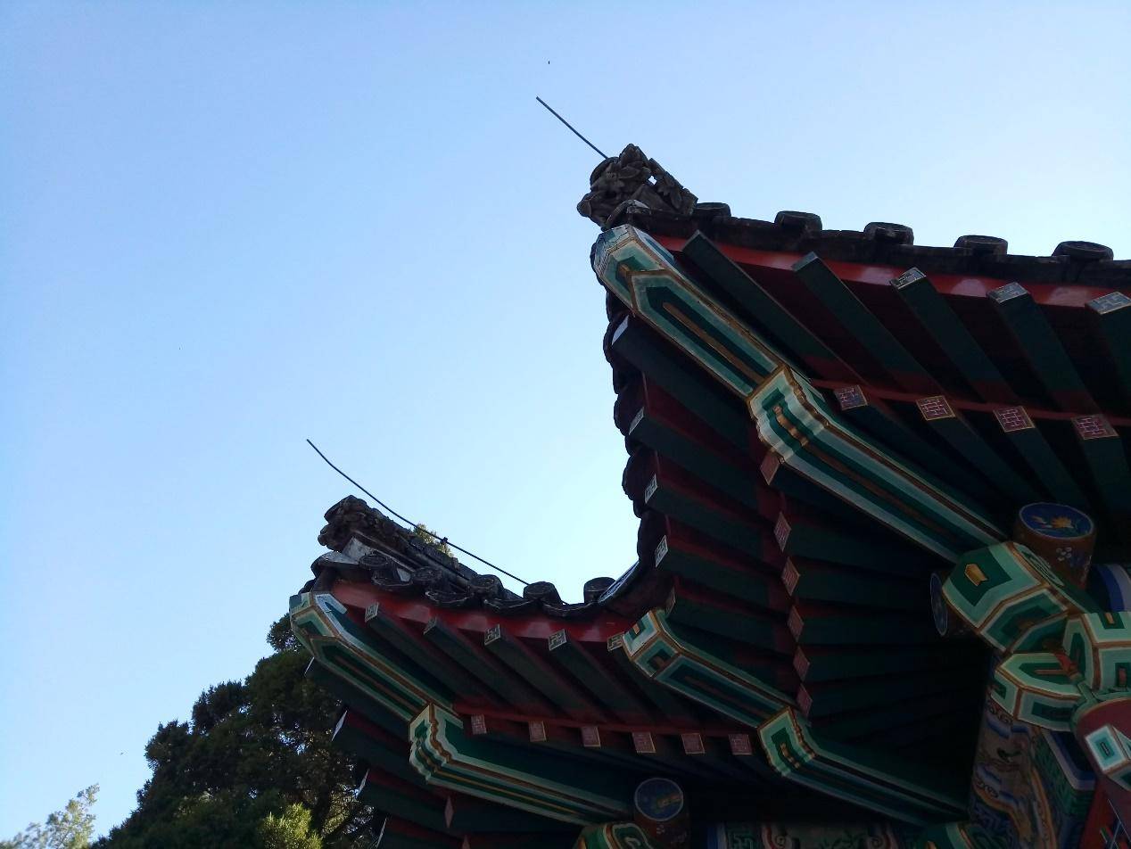 百元电动小钢炮,百元小屏小钢炮