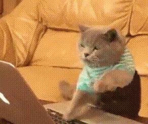 减压玩具最新款最火,最流行的减压玩具