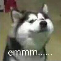 星座一般是看农历还是看阳历,星座究竟是看农历还是阳历