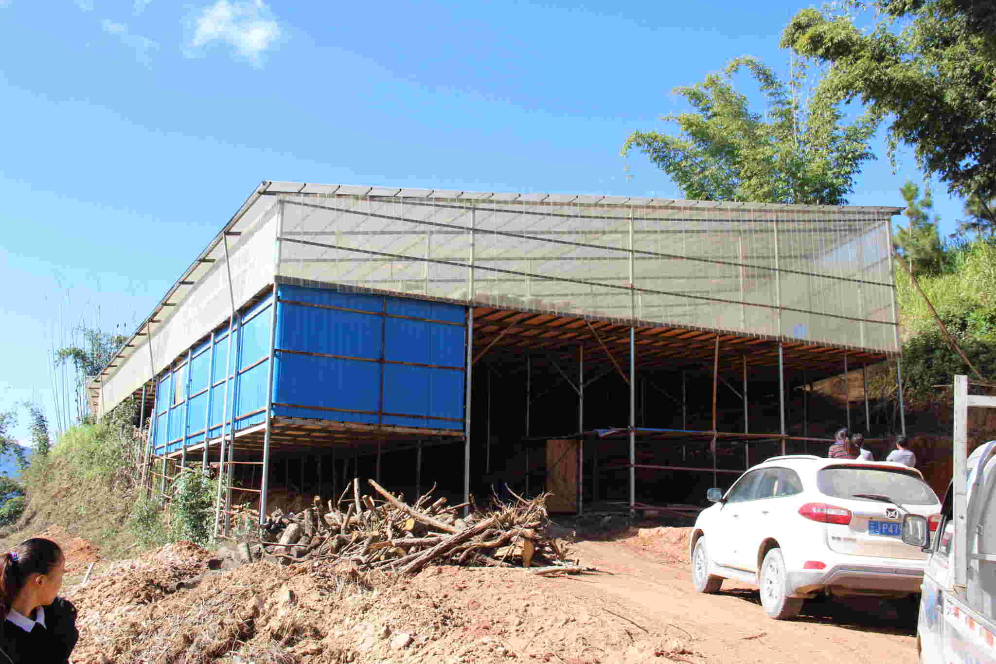 古树茶好喝吗视频,古树茶好在哪里