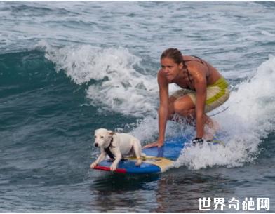 世界上的十大最难的体育项目,世界最热门的体育项目