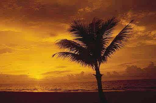 抑郁症患者要怎么治疗,抑郁症患者如何治疗