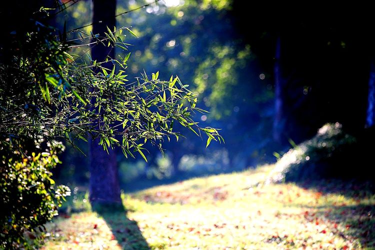 去东湖逛一圈,夏天去东湖哪个景区好玩