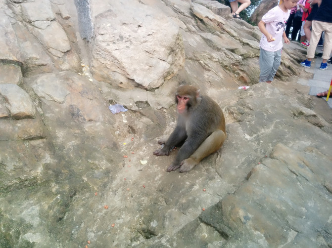 花果山游记400字以上,连云港花果山攻略