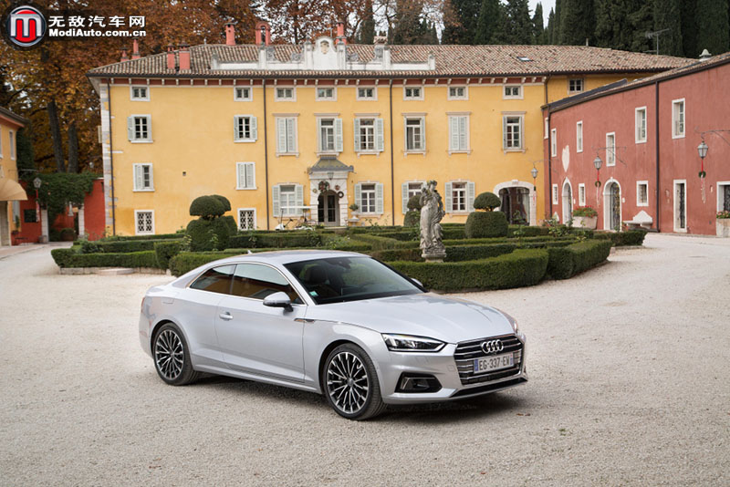 大众mlb平台架构,本是同根生图片