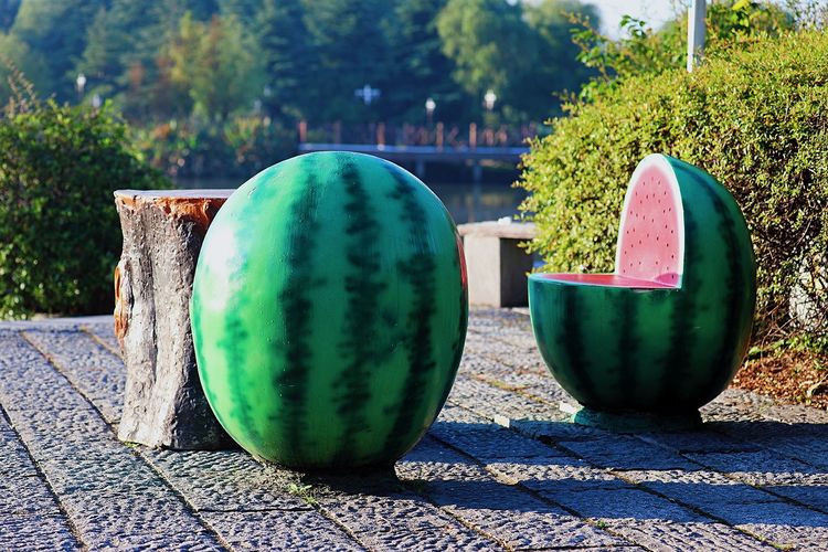 去东湖逛一圈,夏天去东湖哪个景区好玩