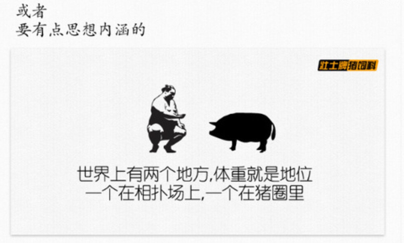 猪饲料文案怎么写,如何写养猪文案吸引人