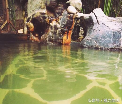昆明泡温泉地方推荐天然温泉,昆明比较好的温泉推荐