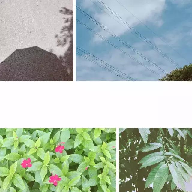 浜旀湀鍏棩濡傜害鑰岃嚦,浜旀湀鍏湀璇楁剰