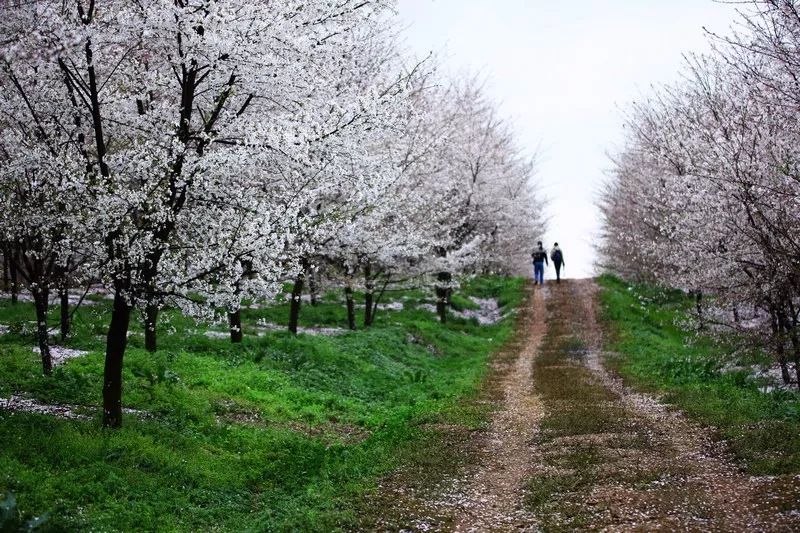 花安高速花溪段,花安高速沿途景区
