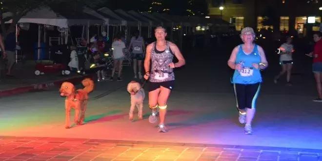 夜里狗狗乱叫是怎么回事,狗狗被咬后夜里乱叫