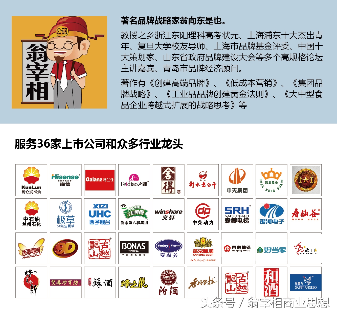 多元集团有限公司,多元经营战略