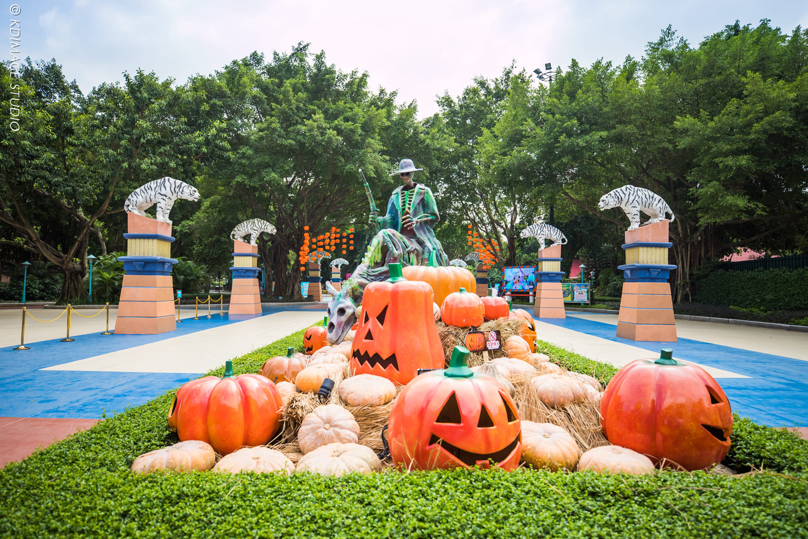 久违的狂欢:和许巍一起过长隆欢乐万圣节