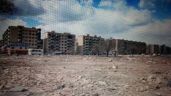 消失13年,消失的13年