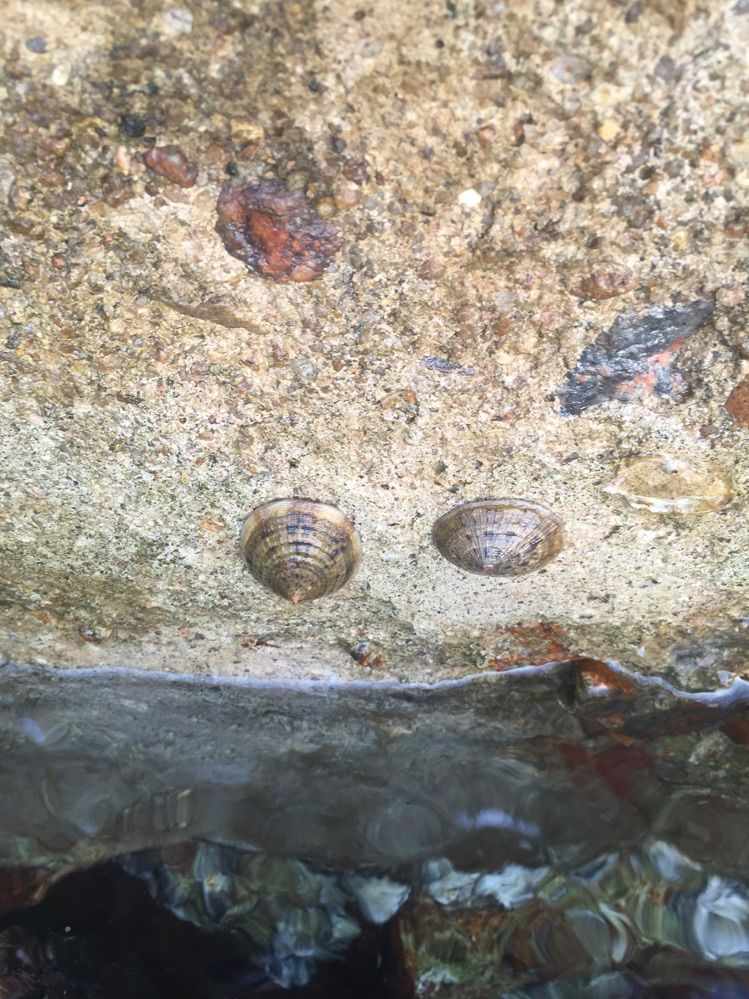 亲子三亚游,什么标题都不如这句话!