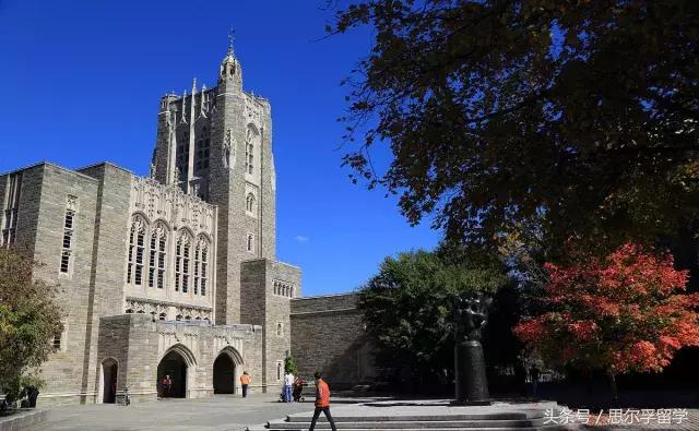 怎么办！说得我好想去“泡”TA哦！