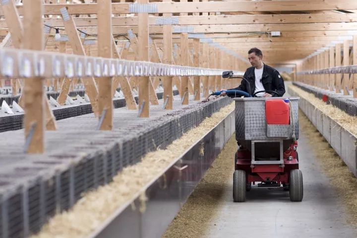 真假皮草，到底谁才是环保公敌？