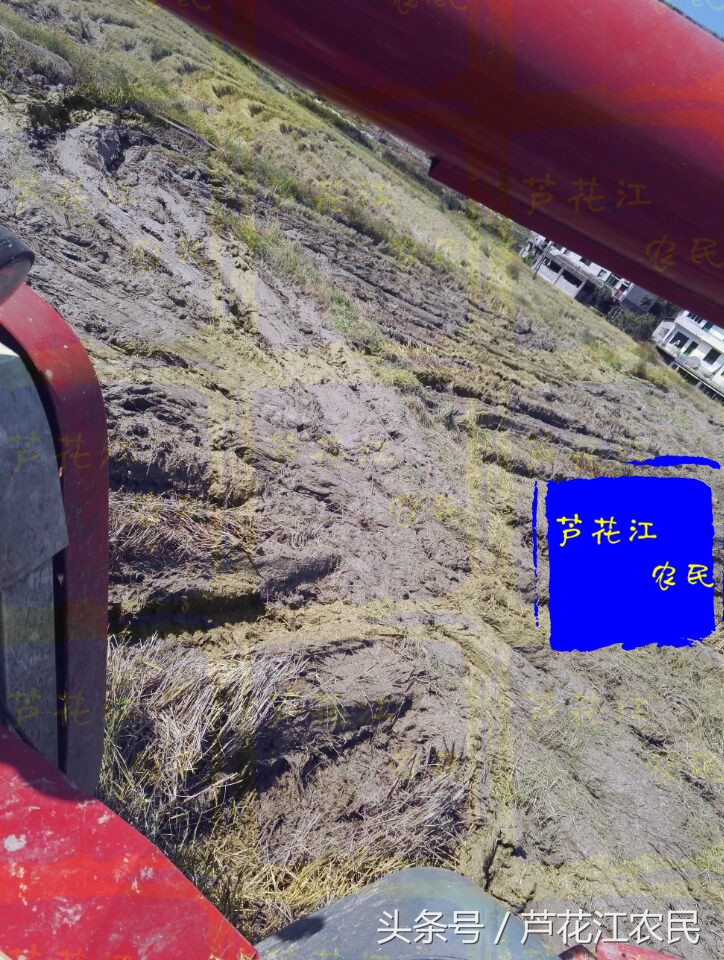 最新款福田雷沃大马力旱田车,久保田688和雷沃rg50哪个好