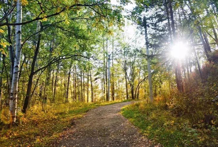 坐火车穿越俄罗斯西伯利亚,欧洲火车途经小镇