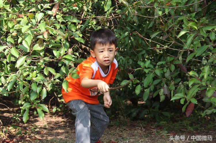 雄鹰少儿足球,早教小小足球运动员