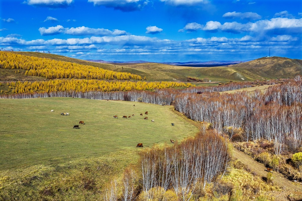 晚秋的草原美景,呼伦贝尔草原晚秋美景